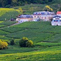 Wine Tasting & Winery Tours