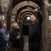 Walking & Biking Tours