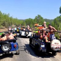 Safaris