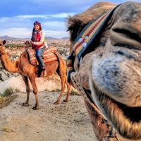 Full-day Tours