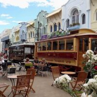 Half-day Tours