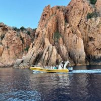 Day Cruises
