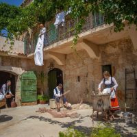 Classes & Workshops