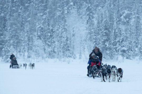 Valentine's Day in Kiruna