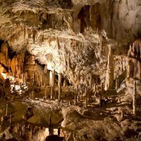 Audio Guided Tours