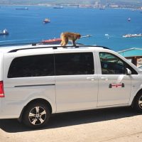 Historical & Heritage Tours