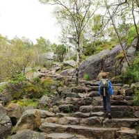 Half-day Tours