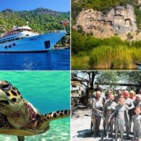 Day Cruises