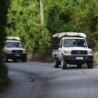 Half-day Tours