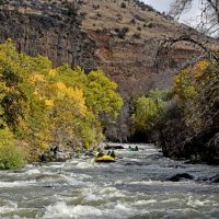 White Water Rafting
