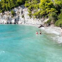 Eco Tours