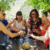 Luxury Tours