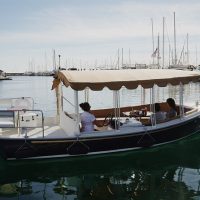 Day Cruises