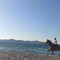 Horseback Riding