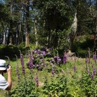 Half-day Tours