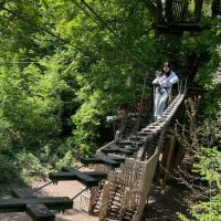 Obstacle Courses