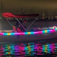 Night Cruises