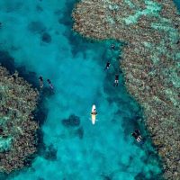 Snorkeling