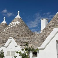 Shore Excursions