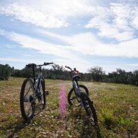 Bike & Mountain Bike Tours