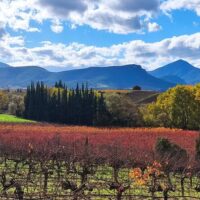 Walking & Biking Tours
