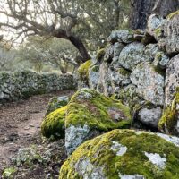Walking & Biking Tours