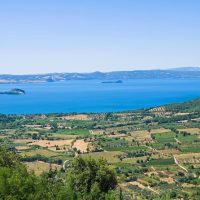 Classic Car Tours