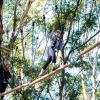 Ziplines