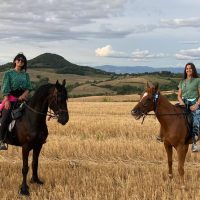 Horseback Riding