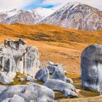 Tours & Sightseeing
