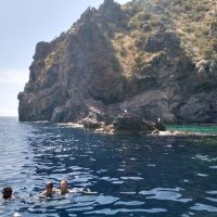 Half-day Tours