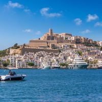 Bus & Minivan Tours