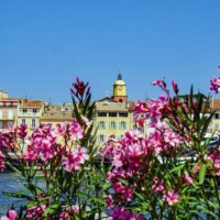 City Tours