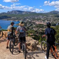 Bike Rentals