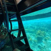 Cruises, Sailing & Water Tours