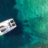 Catamaran Cruises