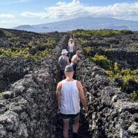 Cultural Tours