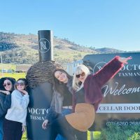 Private Sightseeing Tours