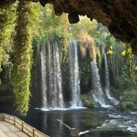 Volunteer Tours