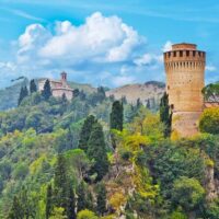Shore Excursions