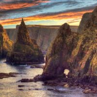 Bus & Minivan Tours