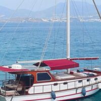 Day Cruises