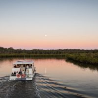 Boat Tours
