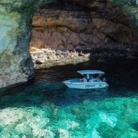 Holiday & Seasonal Tours