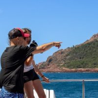 Day Cruises