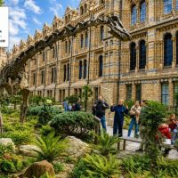Museum Tickets & Passes