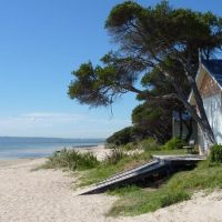 Full-day Tours