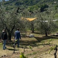 Plantation Tours