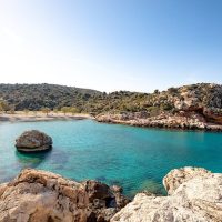 Bus & Minivan Tours