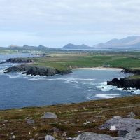 Private & Custom Tours